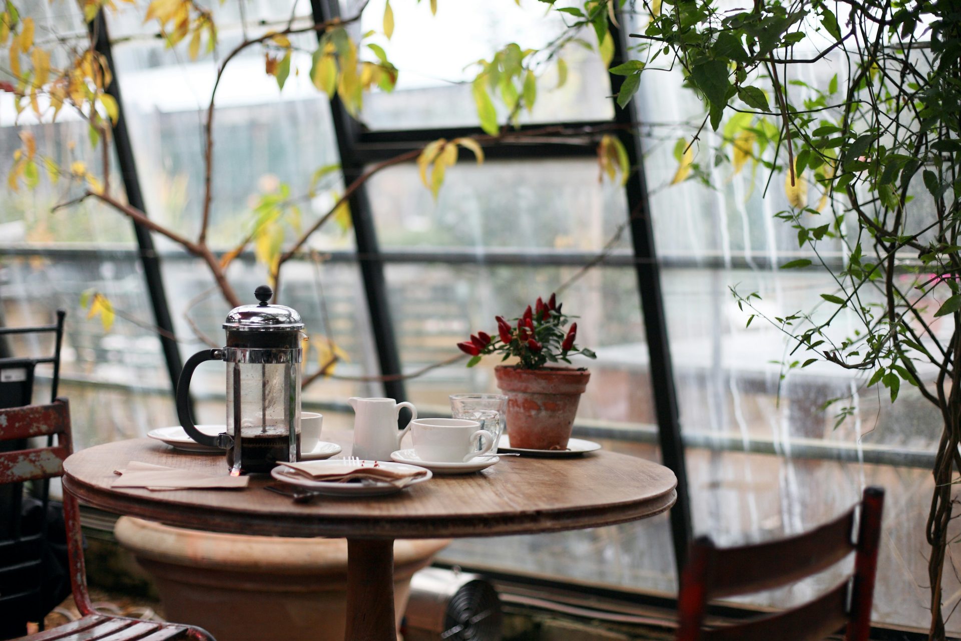 Cozy café table with French press setup.